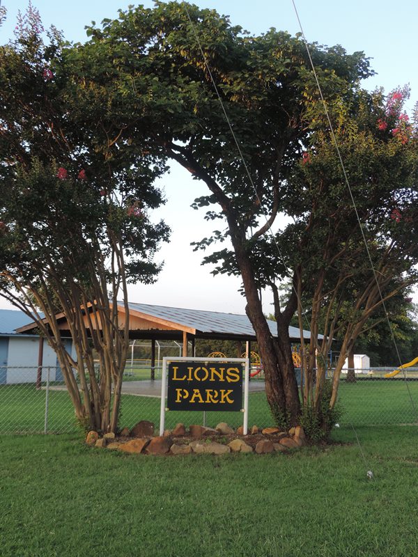 two trees around black sign that says Lions Park in yellow letters